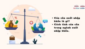 Cán Cân Xuất Nhập Khẩu